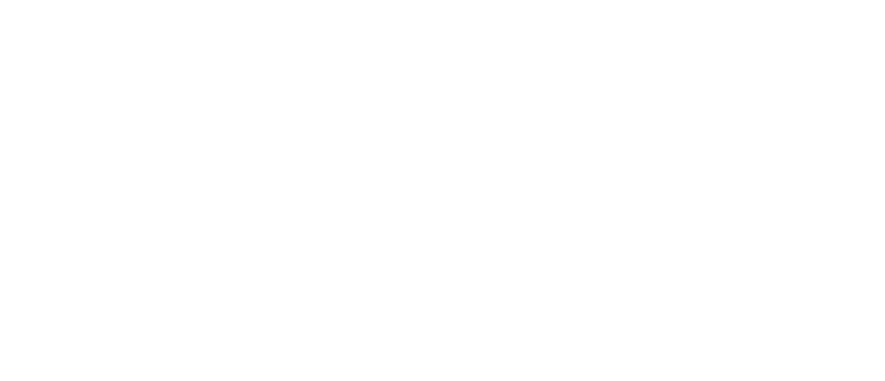 Holistic chef logo